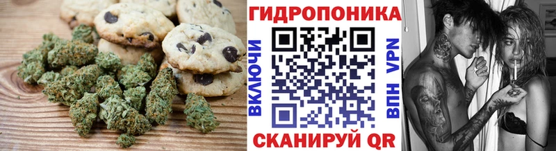 Canna-Cookies конопля  купить наркоту  Нарткала 