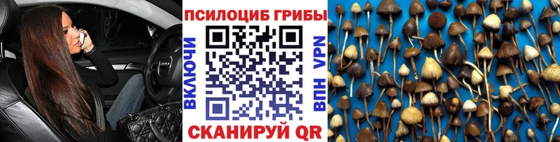 Галлюциногенные грибы мицелий  цены наркотик  гидра зеркало  Нарткала 