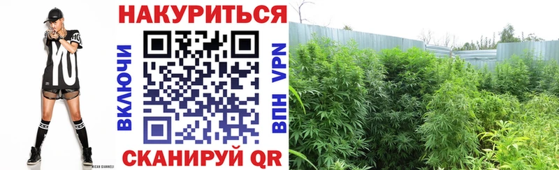 сколько стоит Нарткала Шишки марихуана Bruce Banner